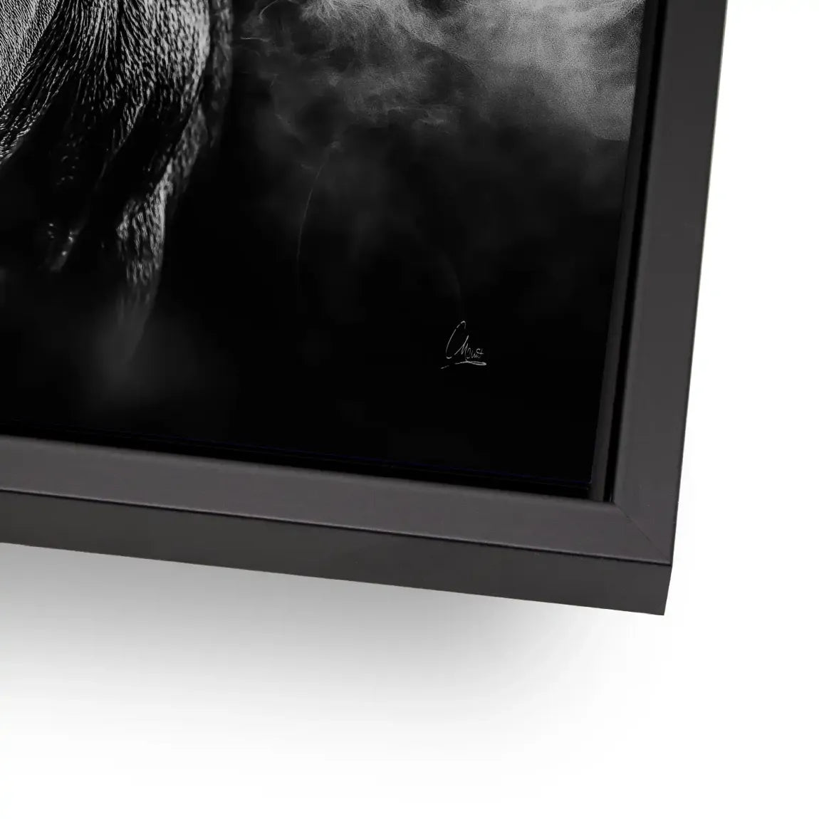 Black Bull Vision  Alu Dibond Bild