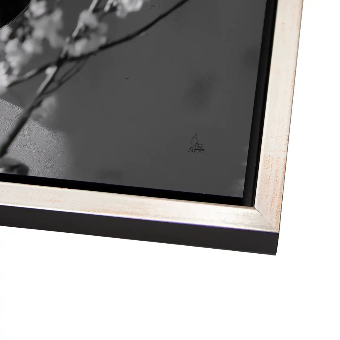 Velvet Muse Alu Dibond Bild