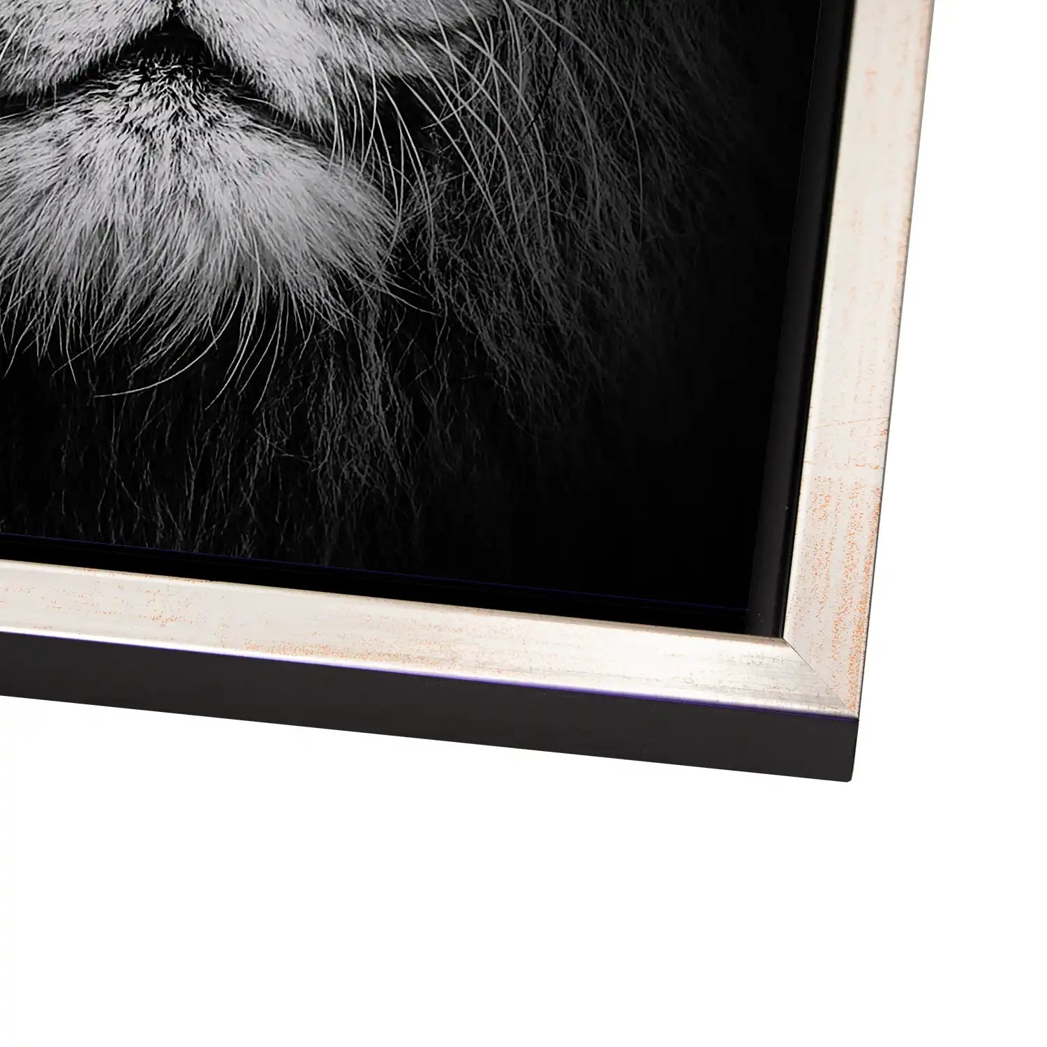 Lion Head AluDibond Bild INGALERIE