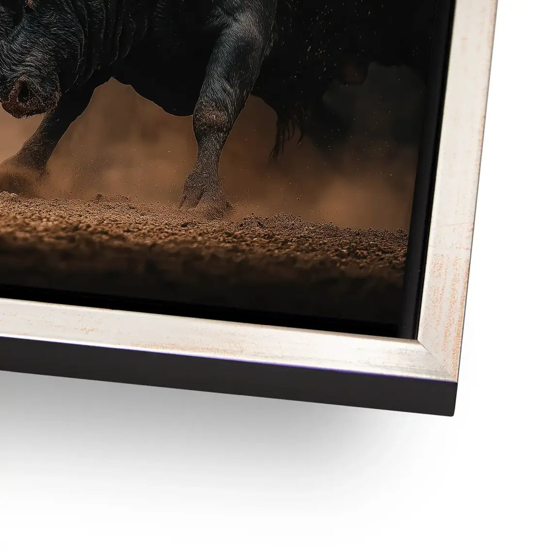 Bulls of Valor AluDibond Bild