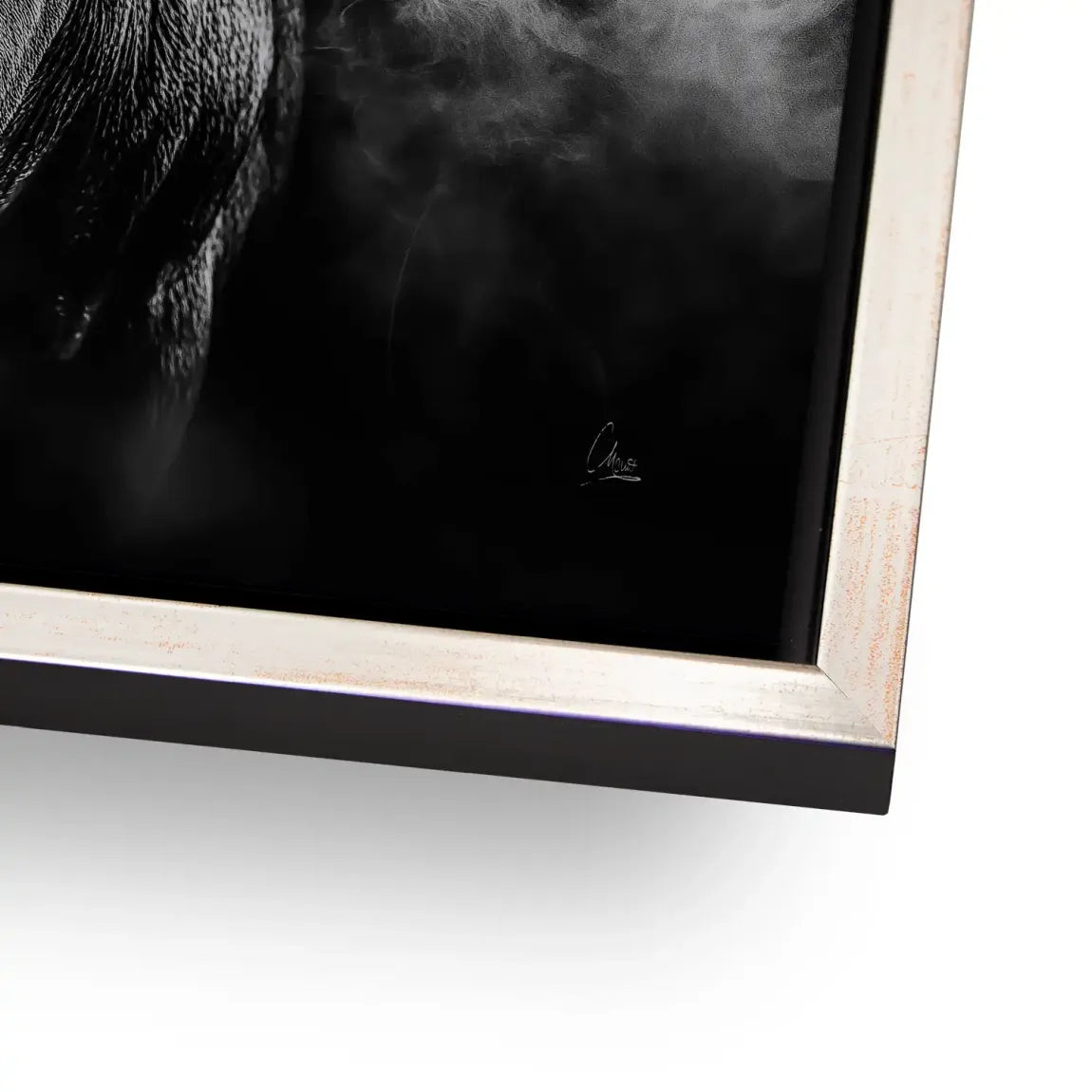 Black Bull Vision  Alu Dibond Bild