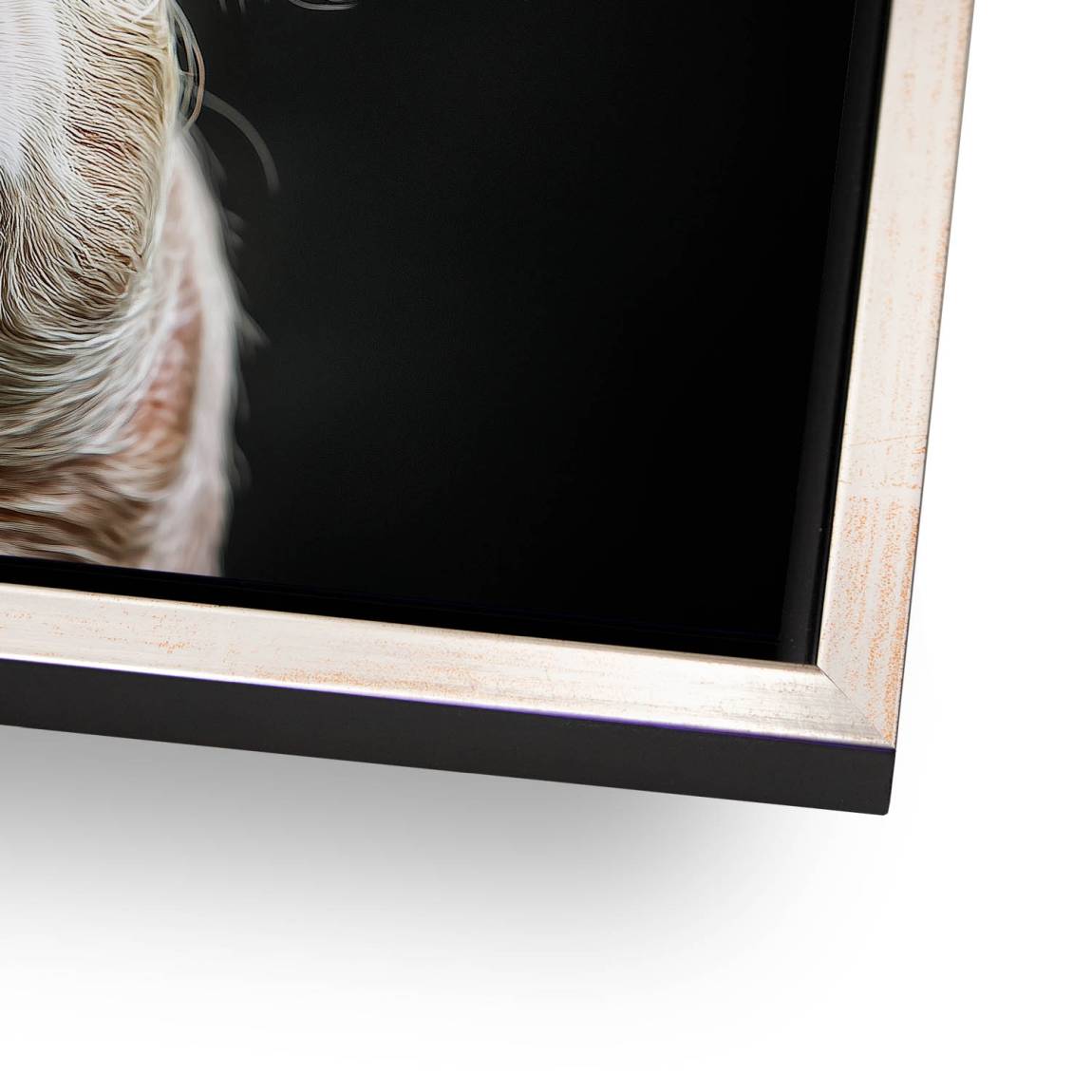 Blüten Schwein AluDibond Bild