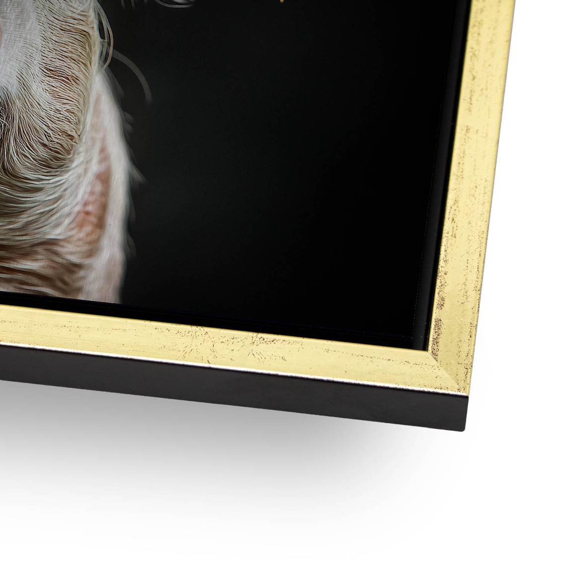 Blüten Schwein Alu Dibond Gebürstet Bild