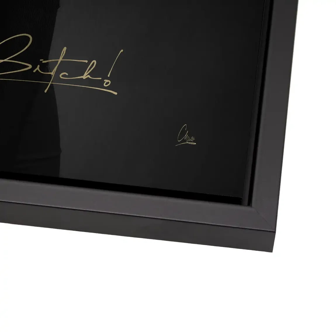 Monroe Life is a Bitch Alu Gebürstet Bild