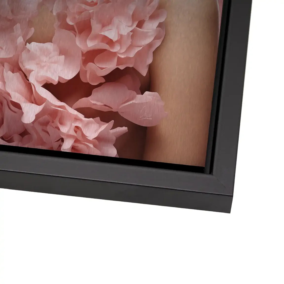 Rose Couture Alu Dibond Bild gebürstet