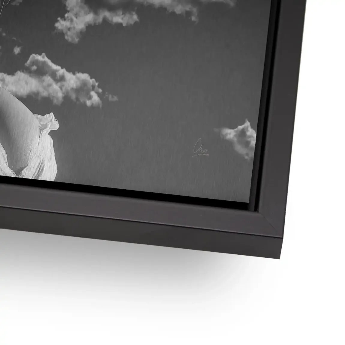 Sky Bloom AluDibond Gebürstet