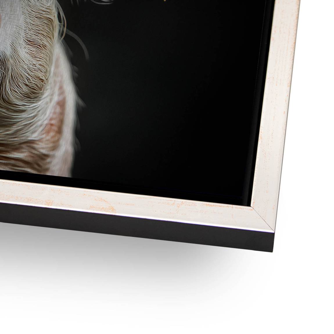 Blüten Schwein Alu Dibond Gebürstet Bild