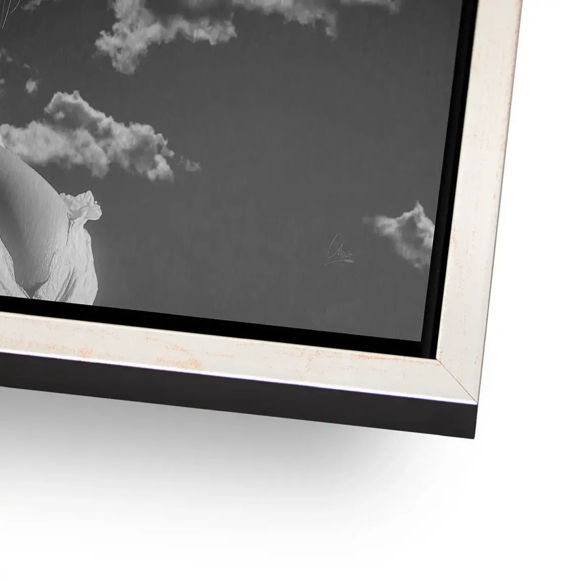 Sky Bloom AluDibond Gebürstet