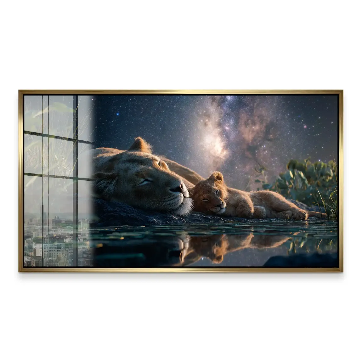 Löwen Serenade Acrylglasbild