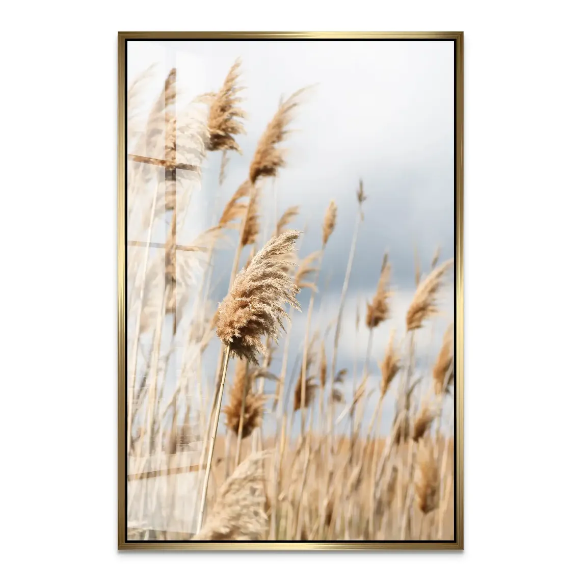 Whispering Reeds Acrylglas Bild - INGALERIE | Dein Onlineshop für moderne Wandbilder