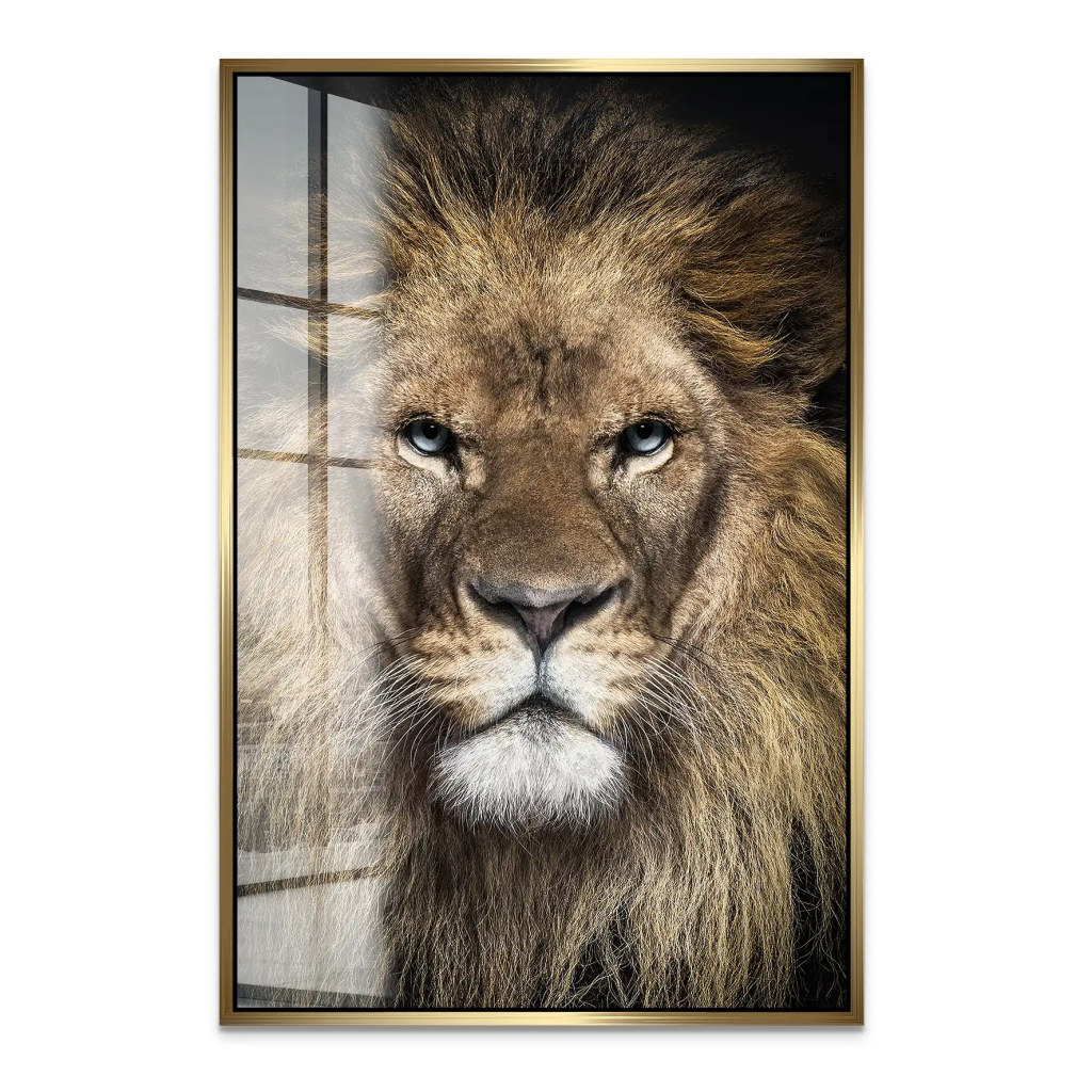 Lion Portrait Acrylglas Bild INGALERIE