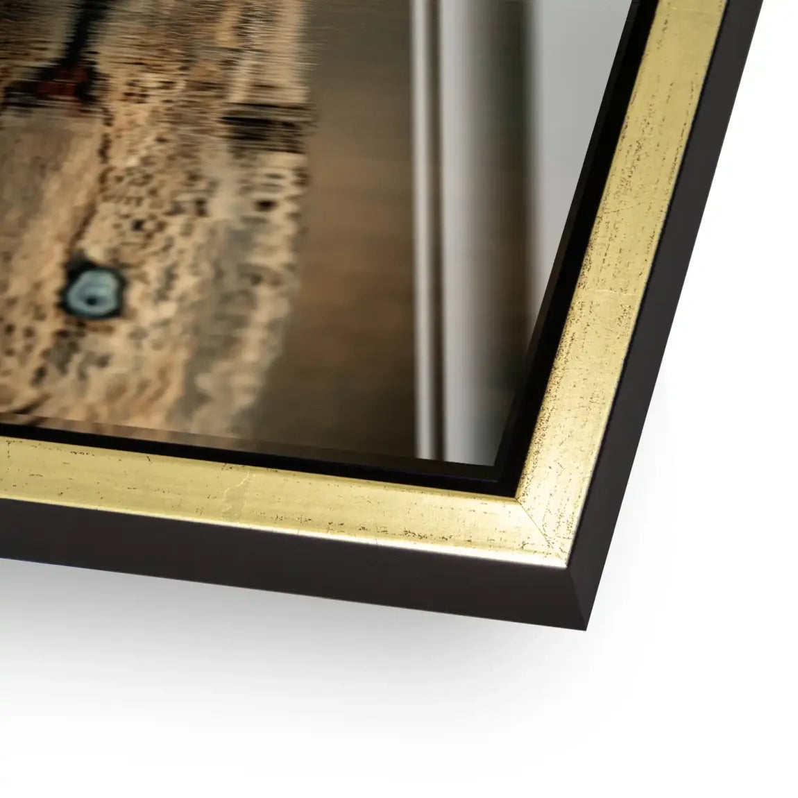 Silent Leopard Acrylglasbild