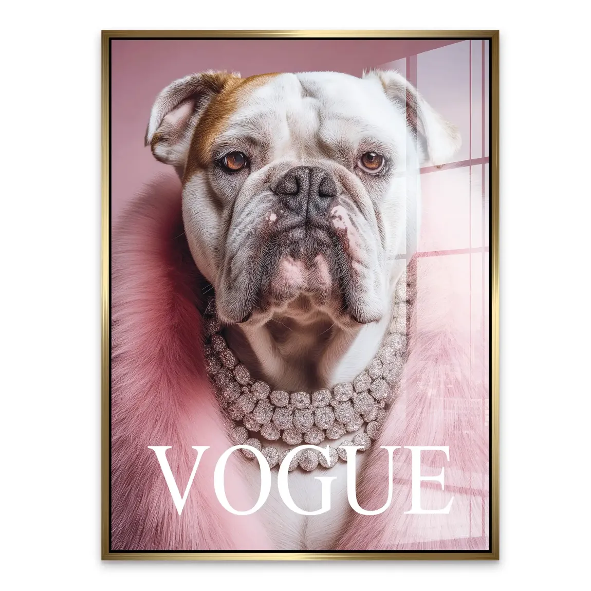 Bulldogge Vogue Acrylglasbild