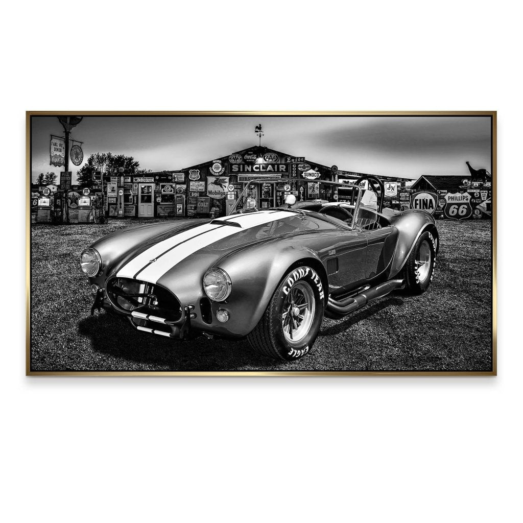 AC Cobra Abstrakt Silver Aludibond Bild INGALERIE