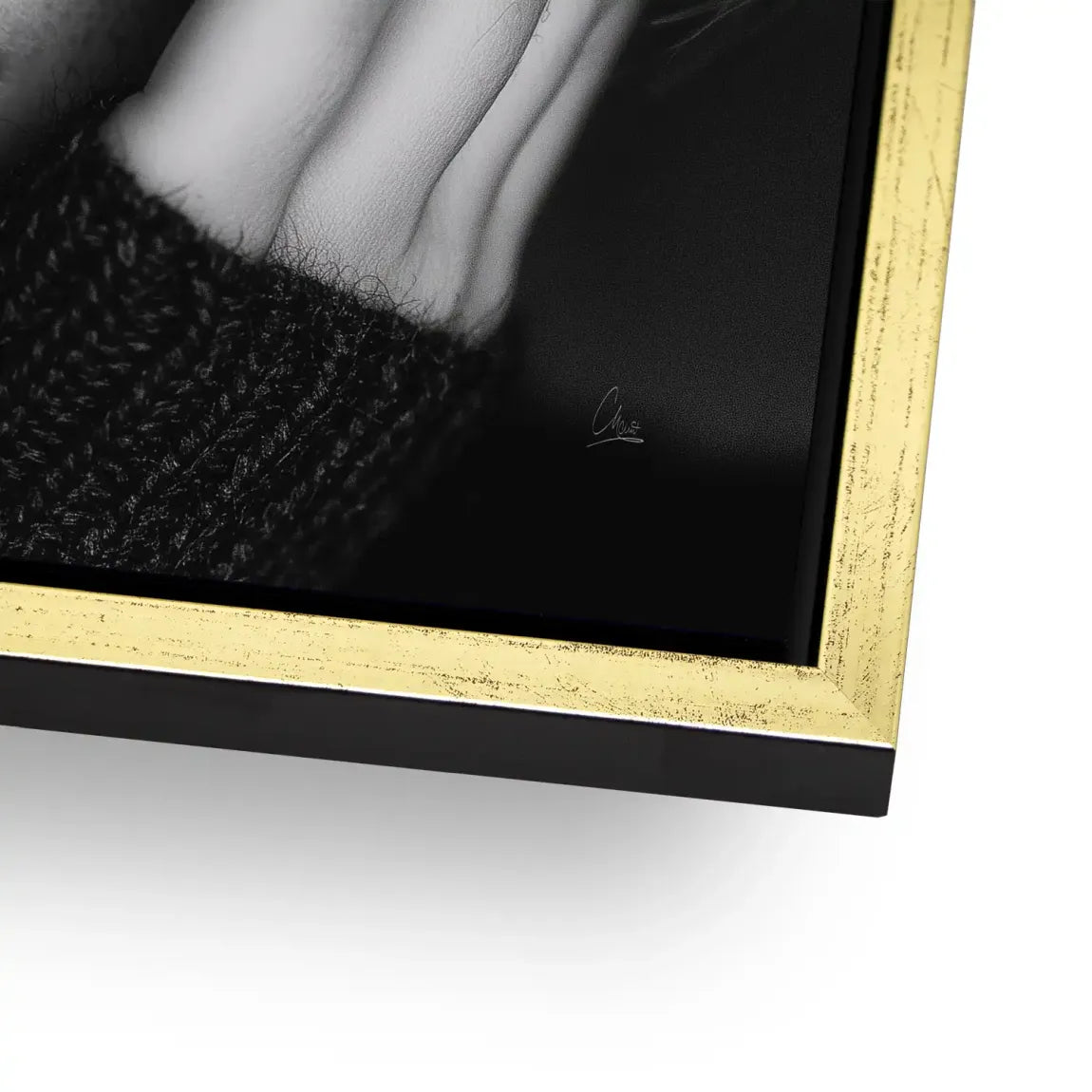 Silent Graze Aludibond Bild