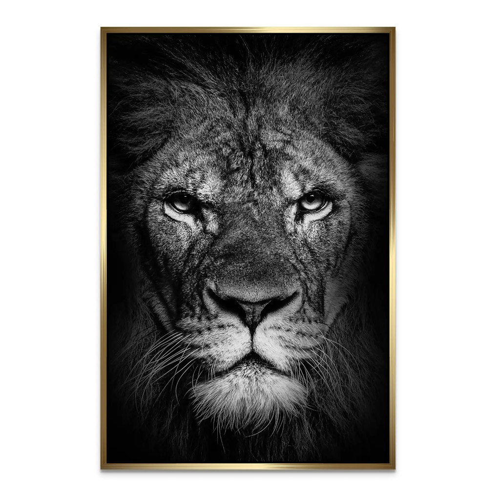 Lion Head AluDibond Bild INGALERIE