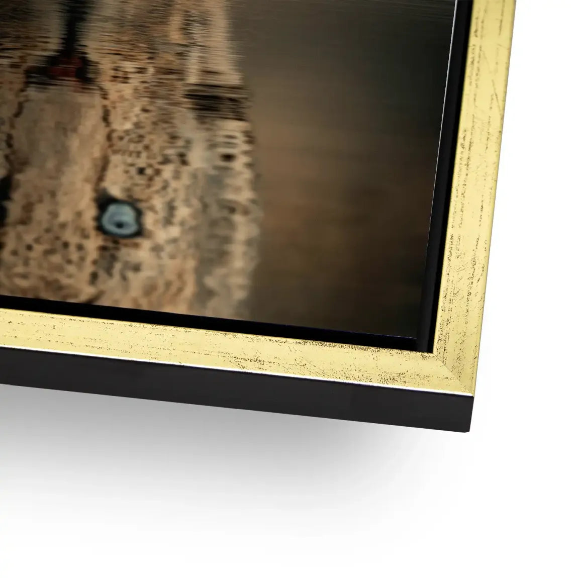 Silent Leopard Alu Dibond Bild