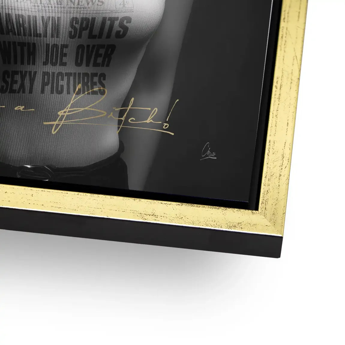 Marilyn Skandal Alu Dibond Bild