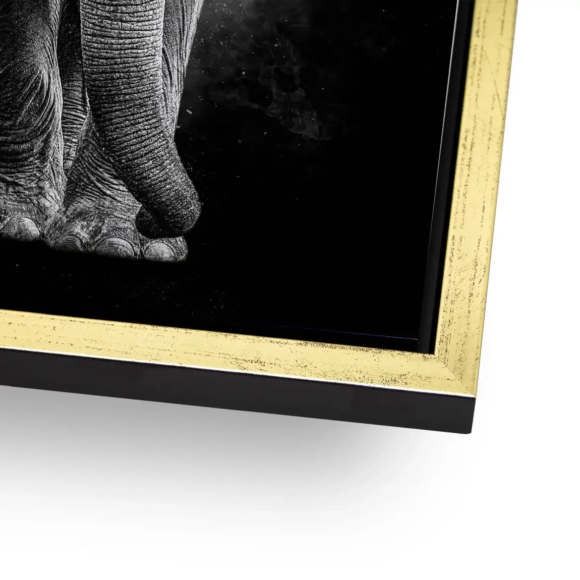 Elefant Noir Alu Dibond Wandbild