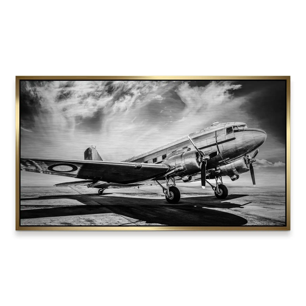 DC3 Vintage Flugzeug Alu Gebürstet INGALERIE
