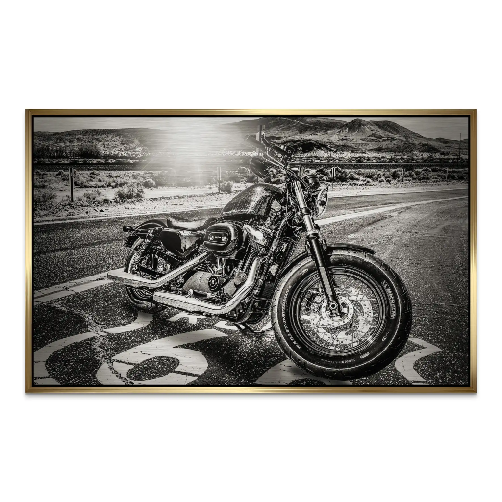 Route Heritage Edition – Harley Alu gebürstet Bild INGALERIE