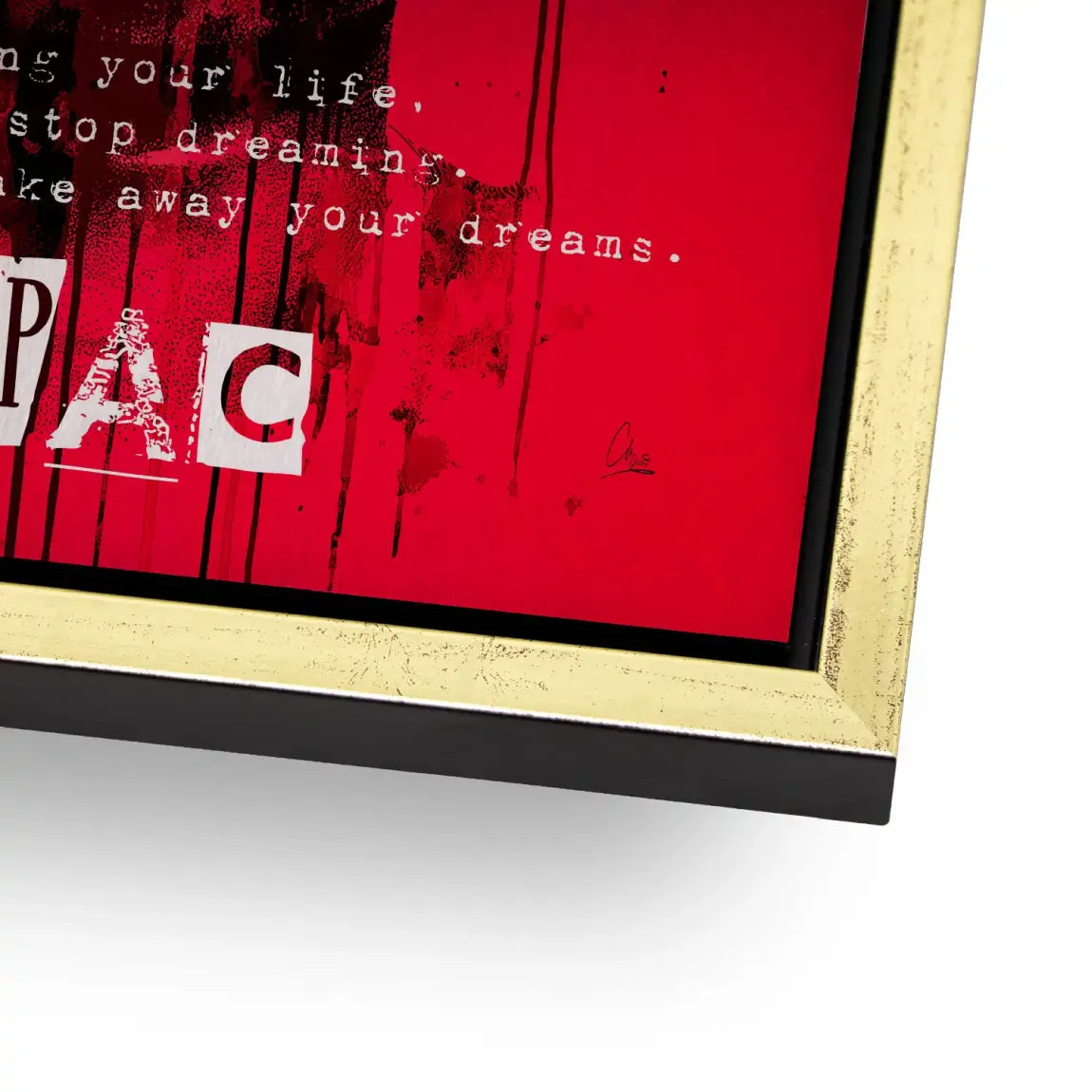 Red Legend Alu Gebürstet Bild