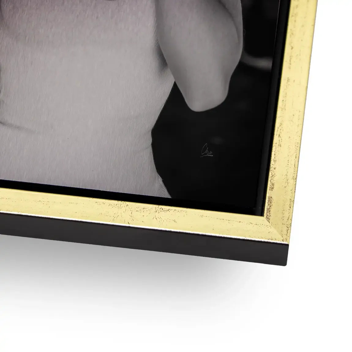 Marilyn Monroe Selfie Alu Gebürstet Bild