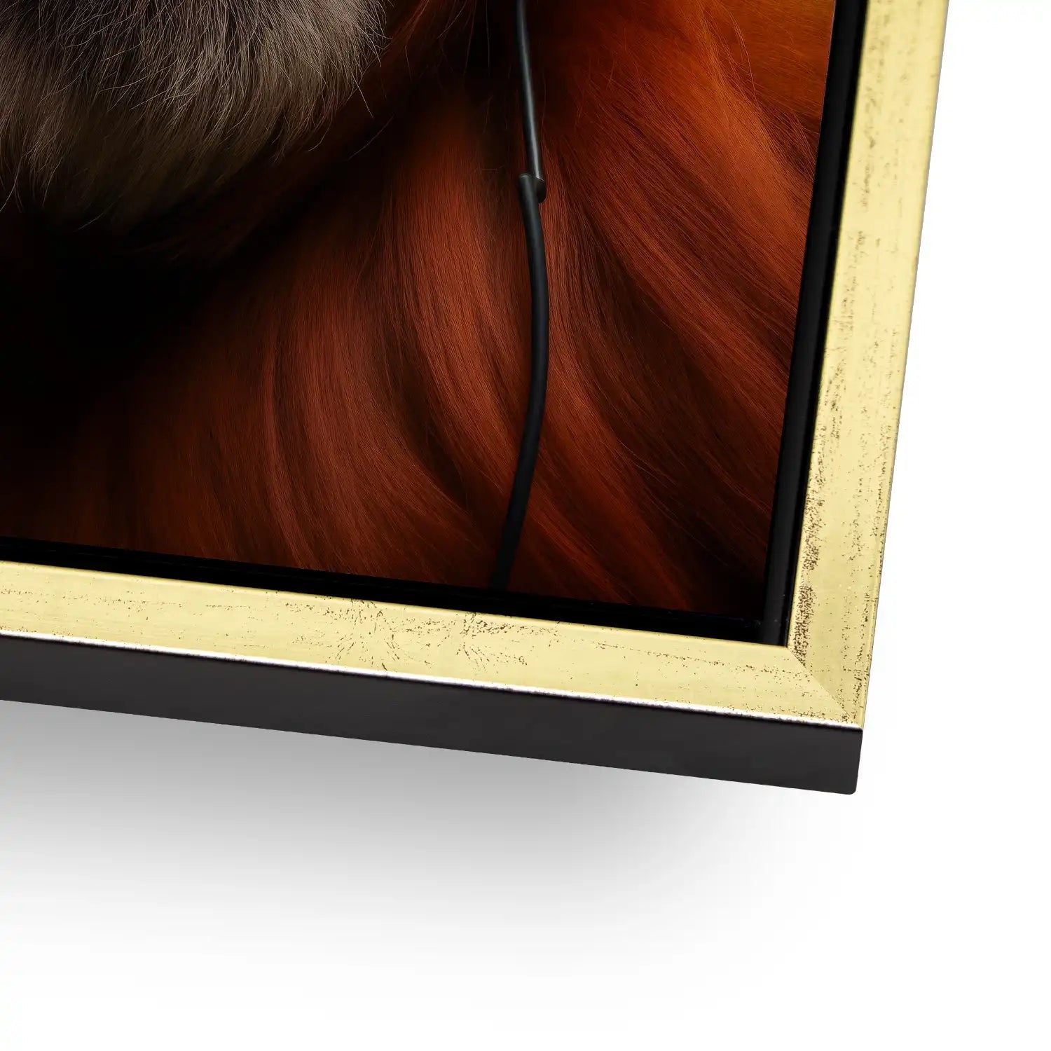 Music Monkey Aludibond Gebürstet - Alu Dibond Bild Gebürstet