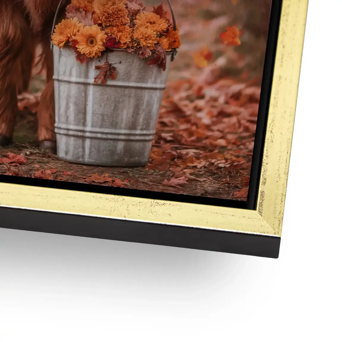 Herbstliebe Highland Alu Gebürstet Bild