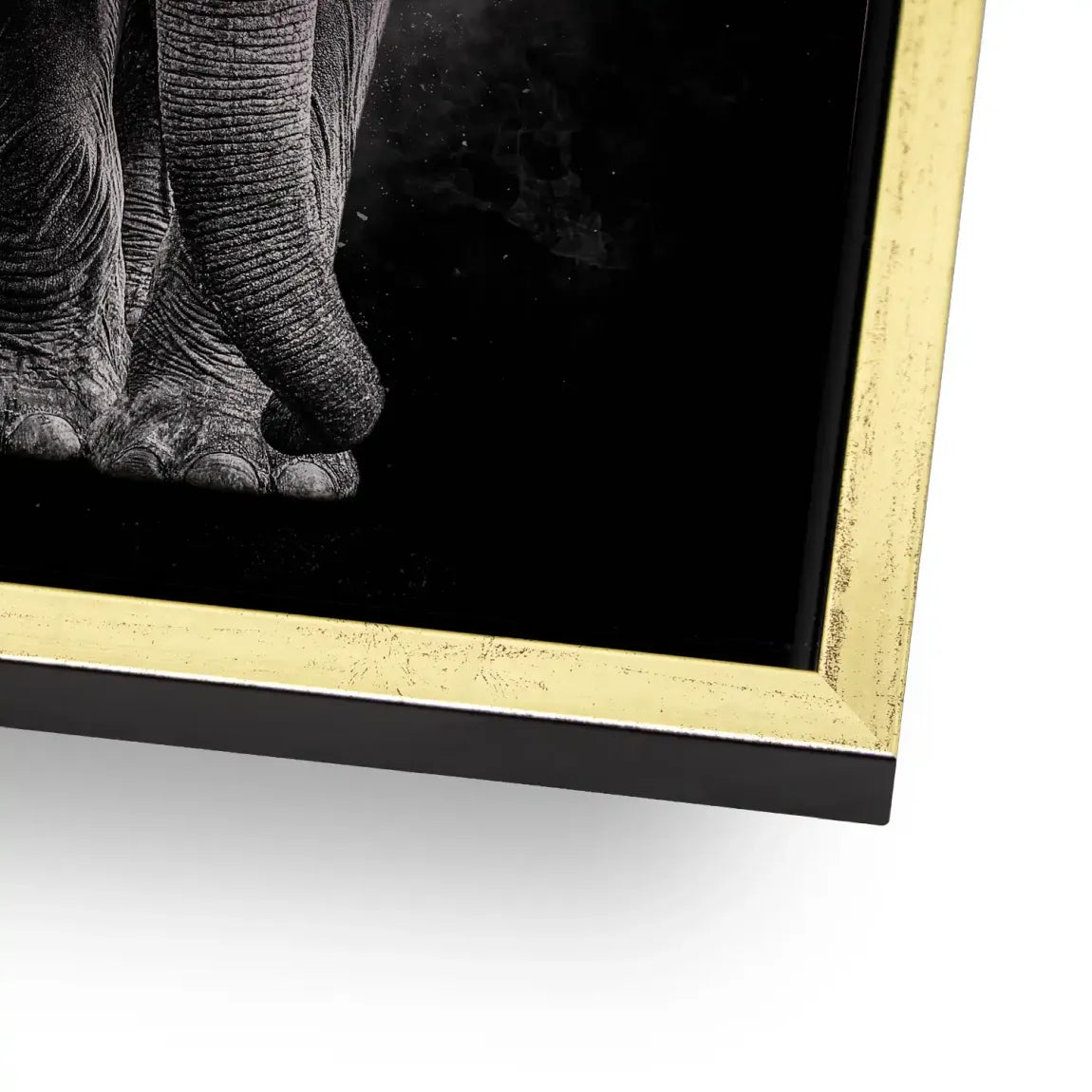 Elefant Noir Aluminiumbild gebürstet