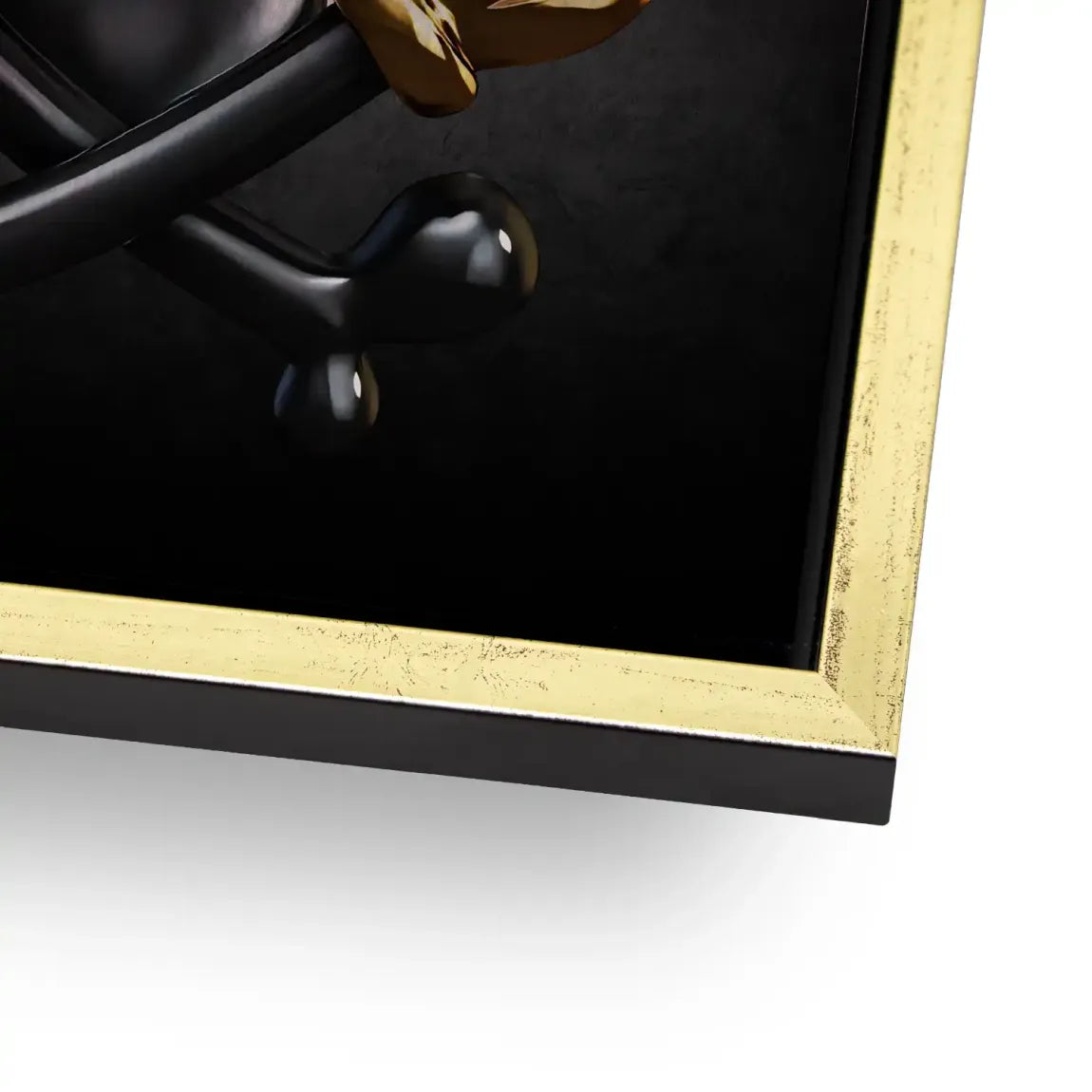 Dollar Vision Duck Alu Gebürstet Bild