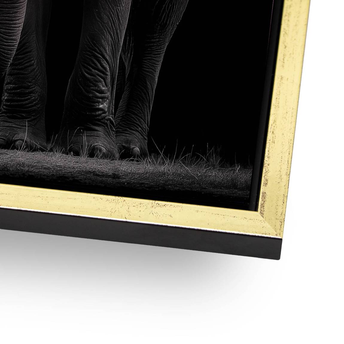 Black Elefant Aluminiumbild gebürstet