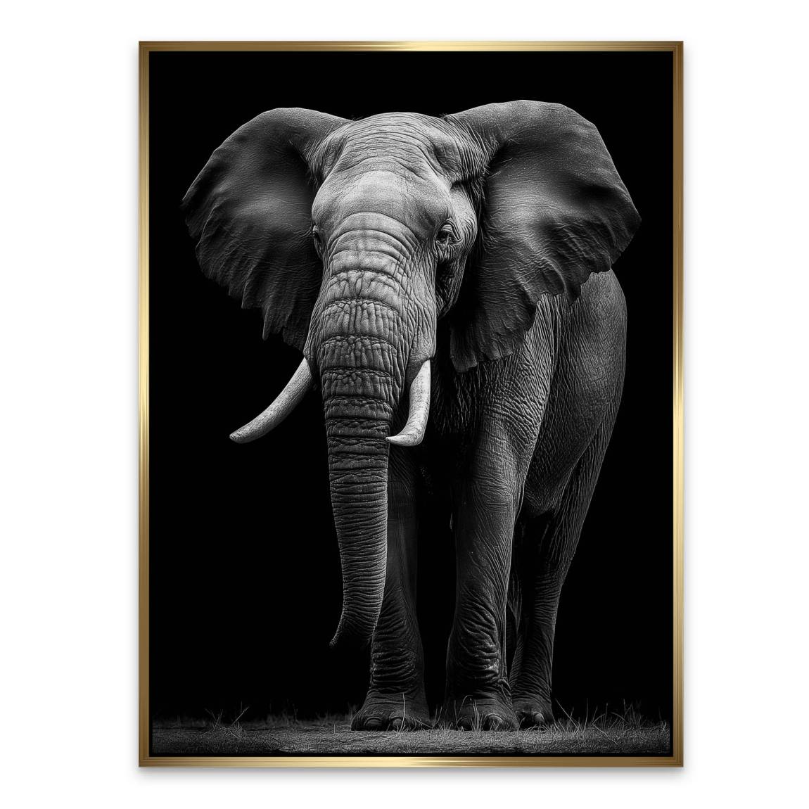 Black Elefant Aluminiumbild gebürstet