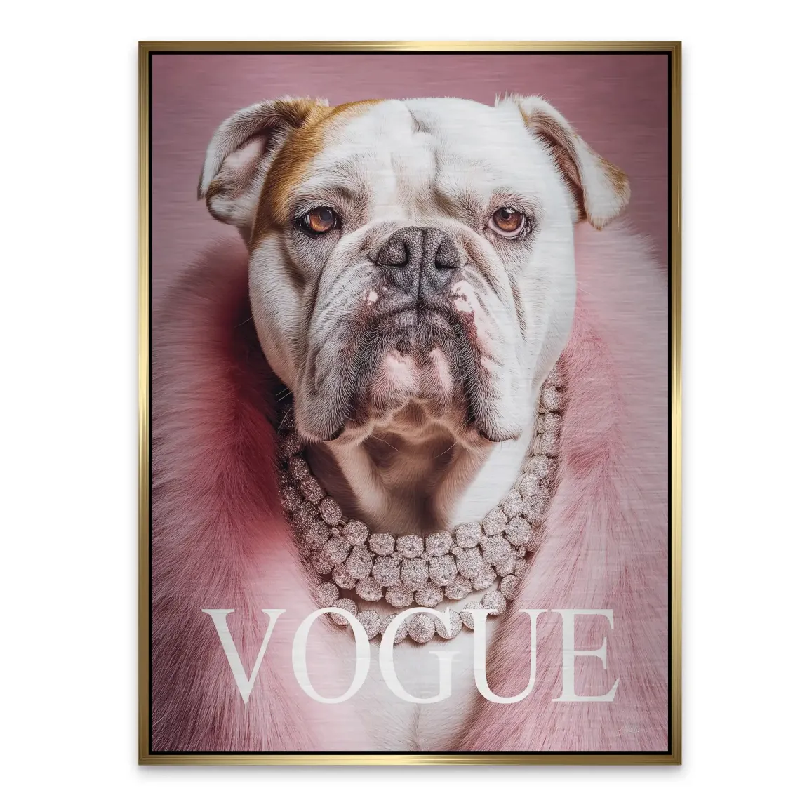 Bulldogge Vogue Alu Gebürstet Bild