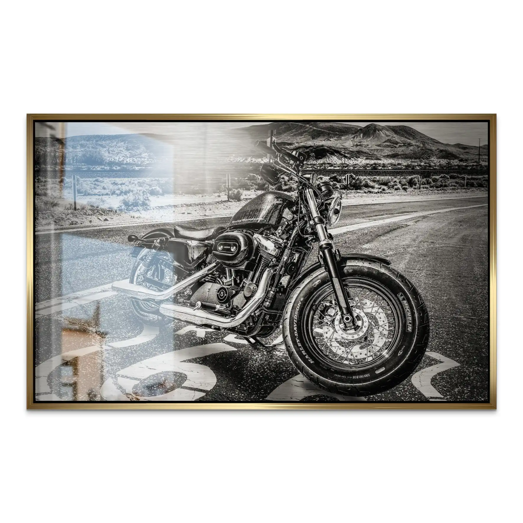 Route Heritage Edition – Harley Alu gebürstet Bild INGALERIE
