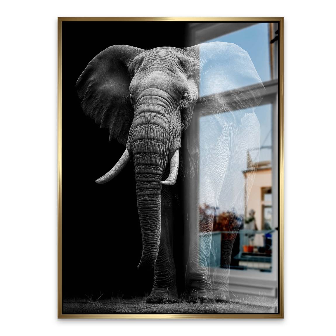 Black Elefant Aluminiumbild gebürstet