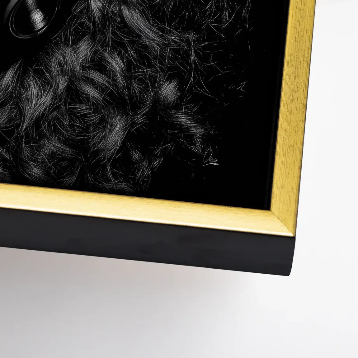 Midnight Harmony Leinwand Bild