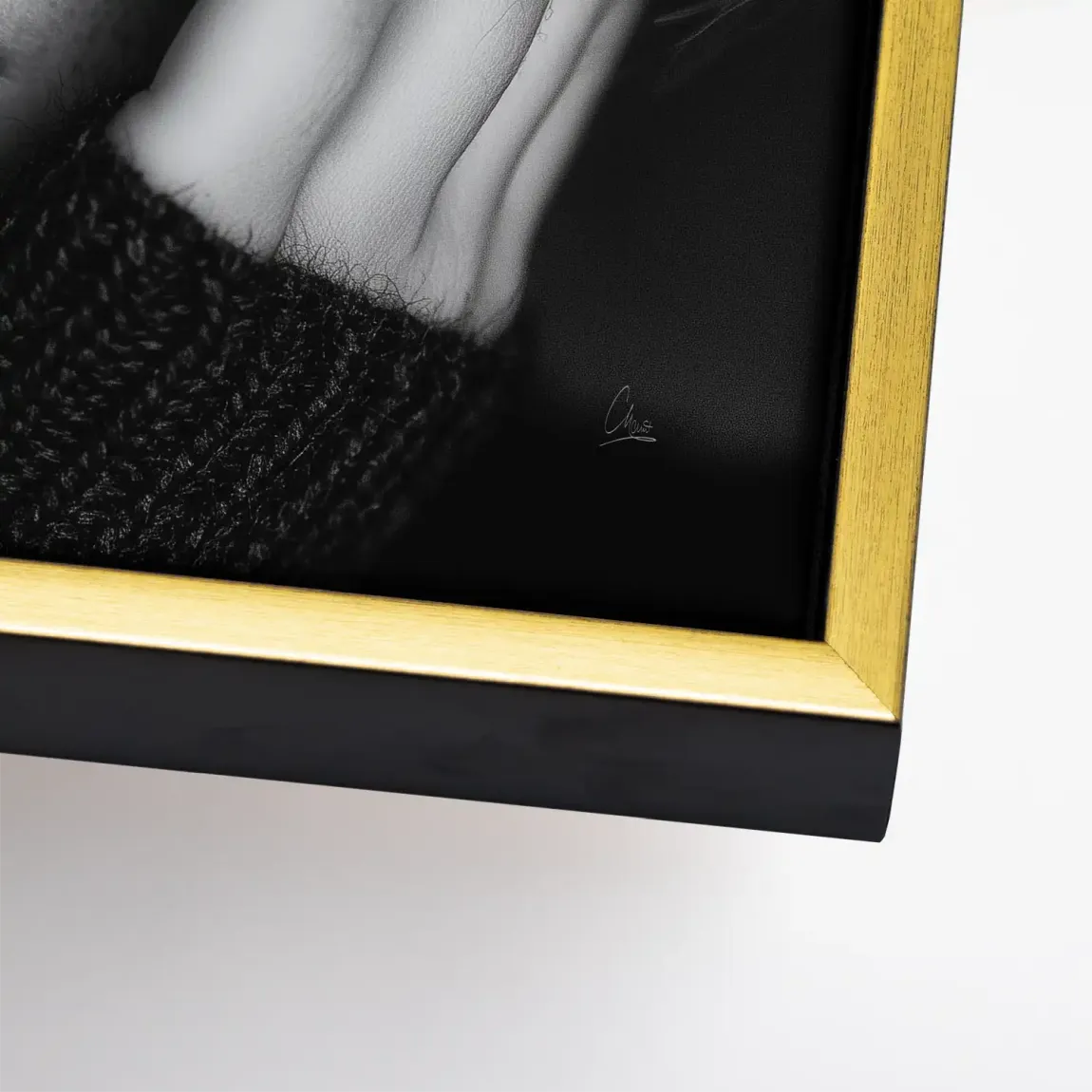 Silent Graze Leinwand Bild