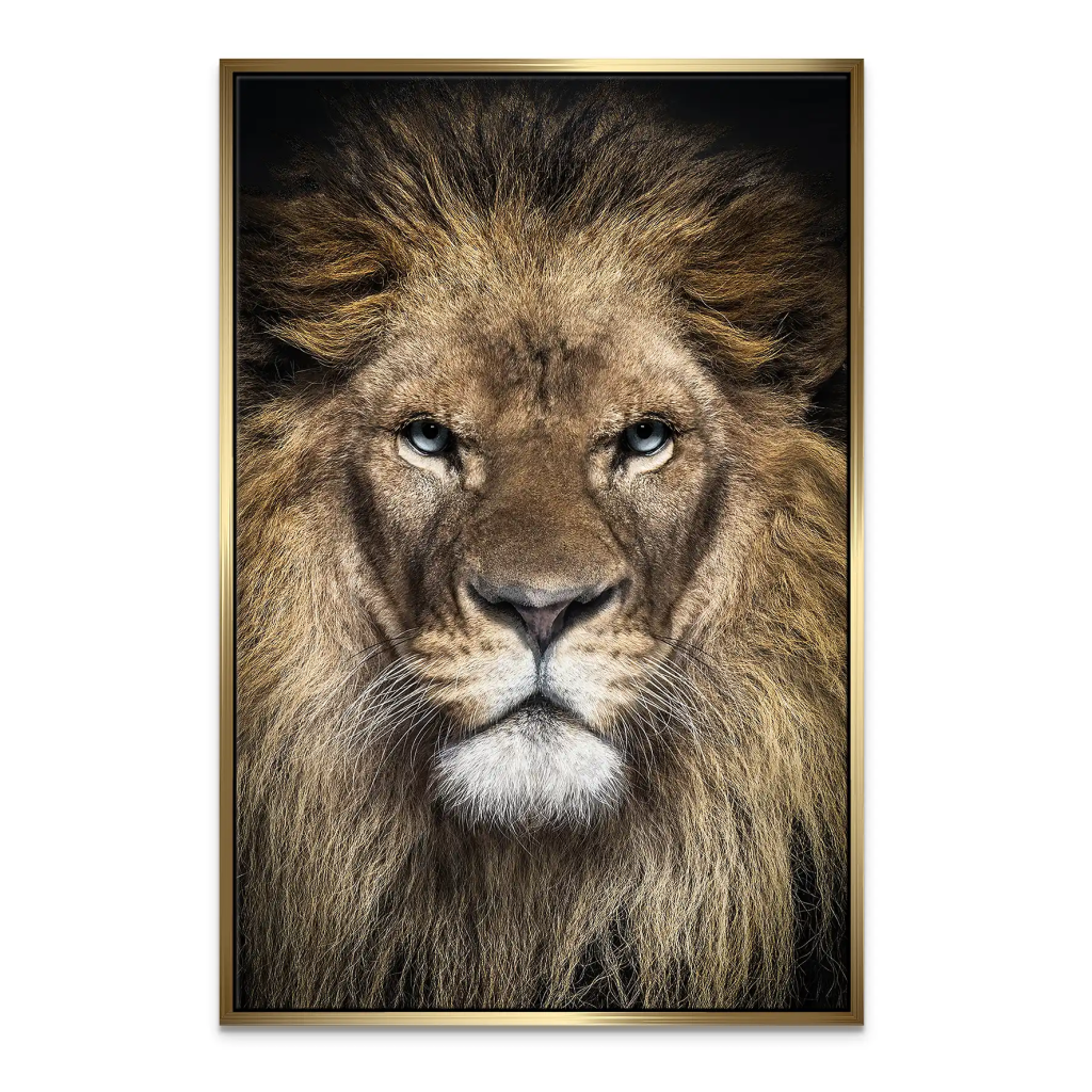 Lion Portrait Leinwand Bild INGALERIE