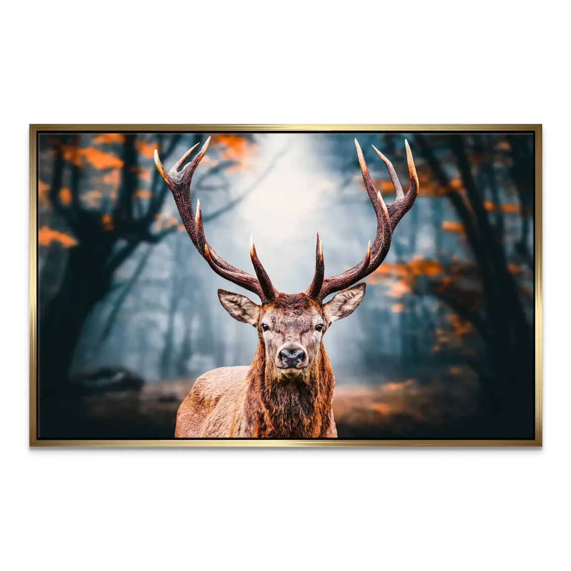 Hirsch im Wald Leinwand Bild
