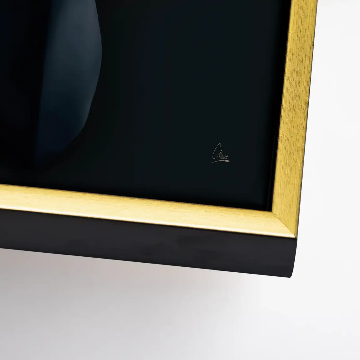 Majestätischer Hirsch Leinwand Bild