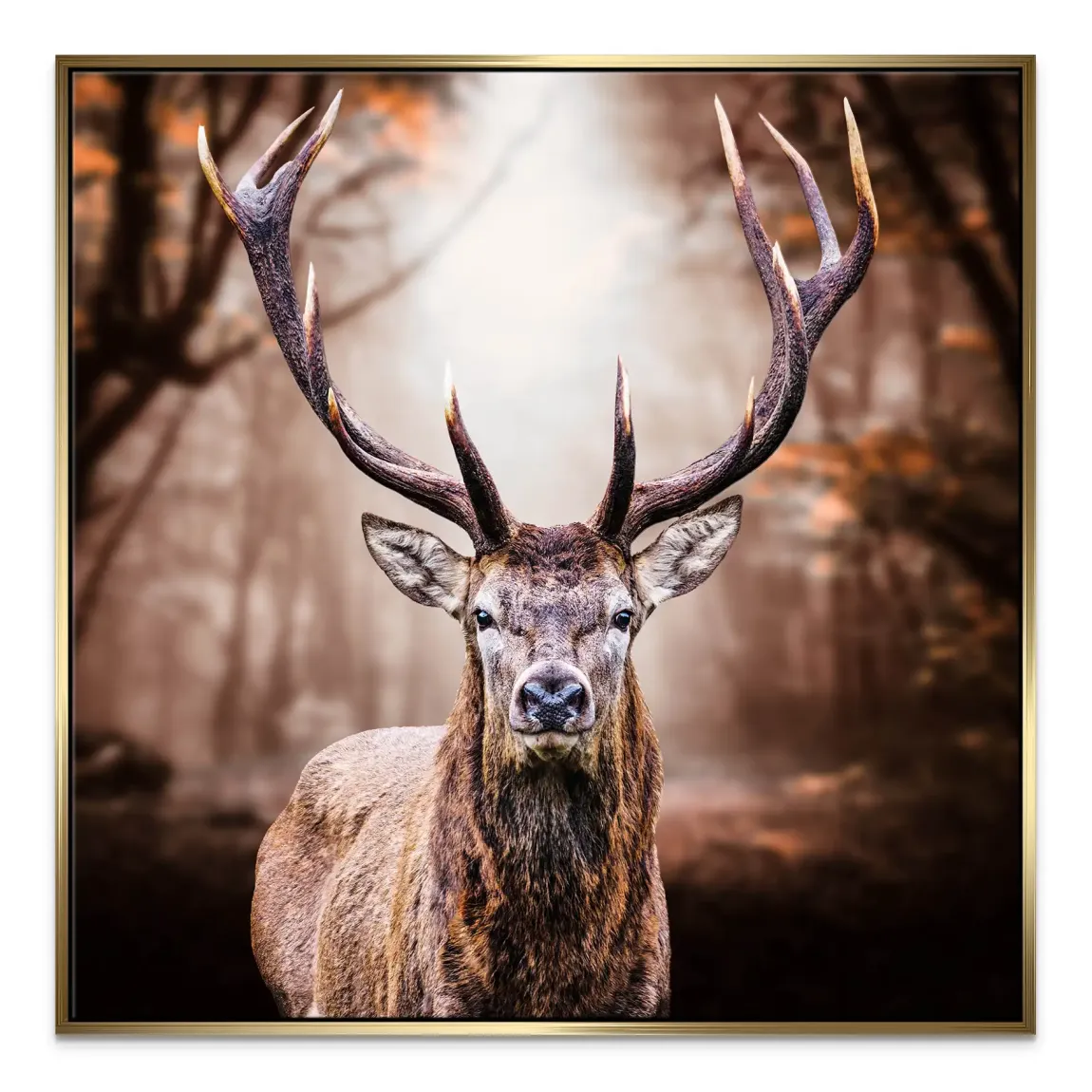 Hirsch Herbstkrone Leinwand Bild
