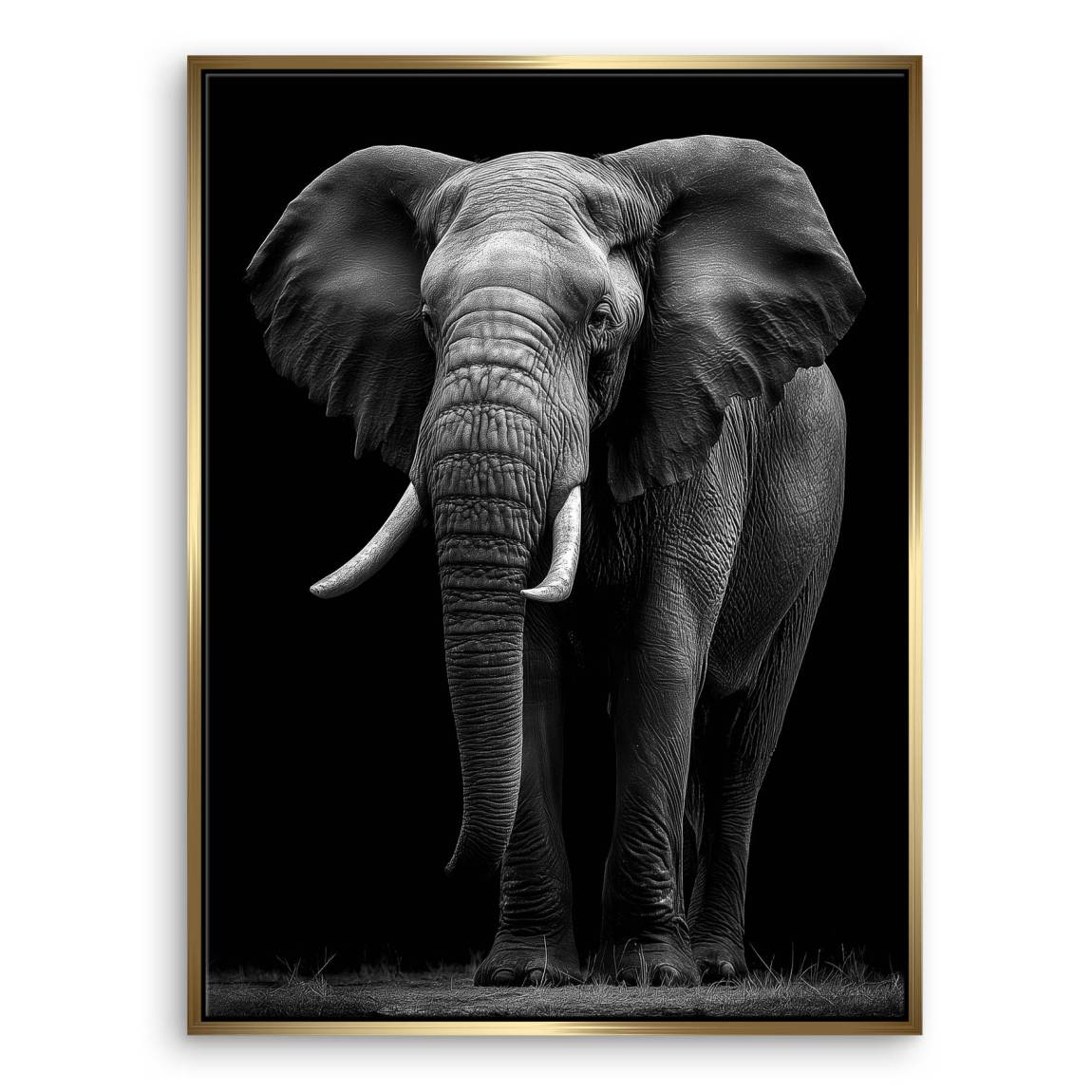 Black Elefant Leinwand Bild