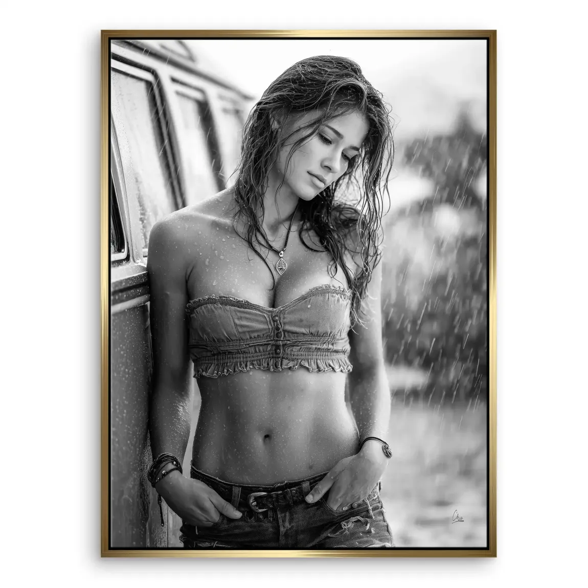 Summer Rain Leinwand Bild