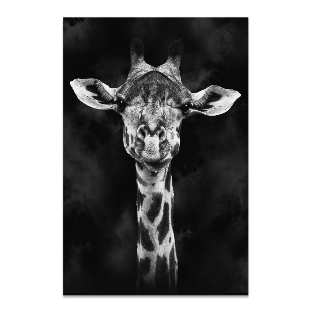 Giraffe Abstrakt Black Style Leinwand Bild INGALERIE