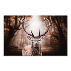 Hirsch Vintage Style Leinwand Bild