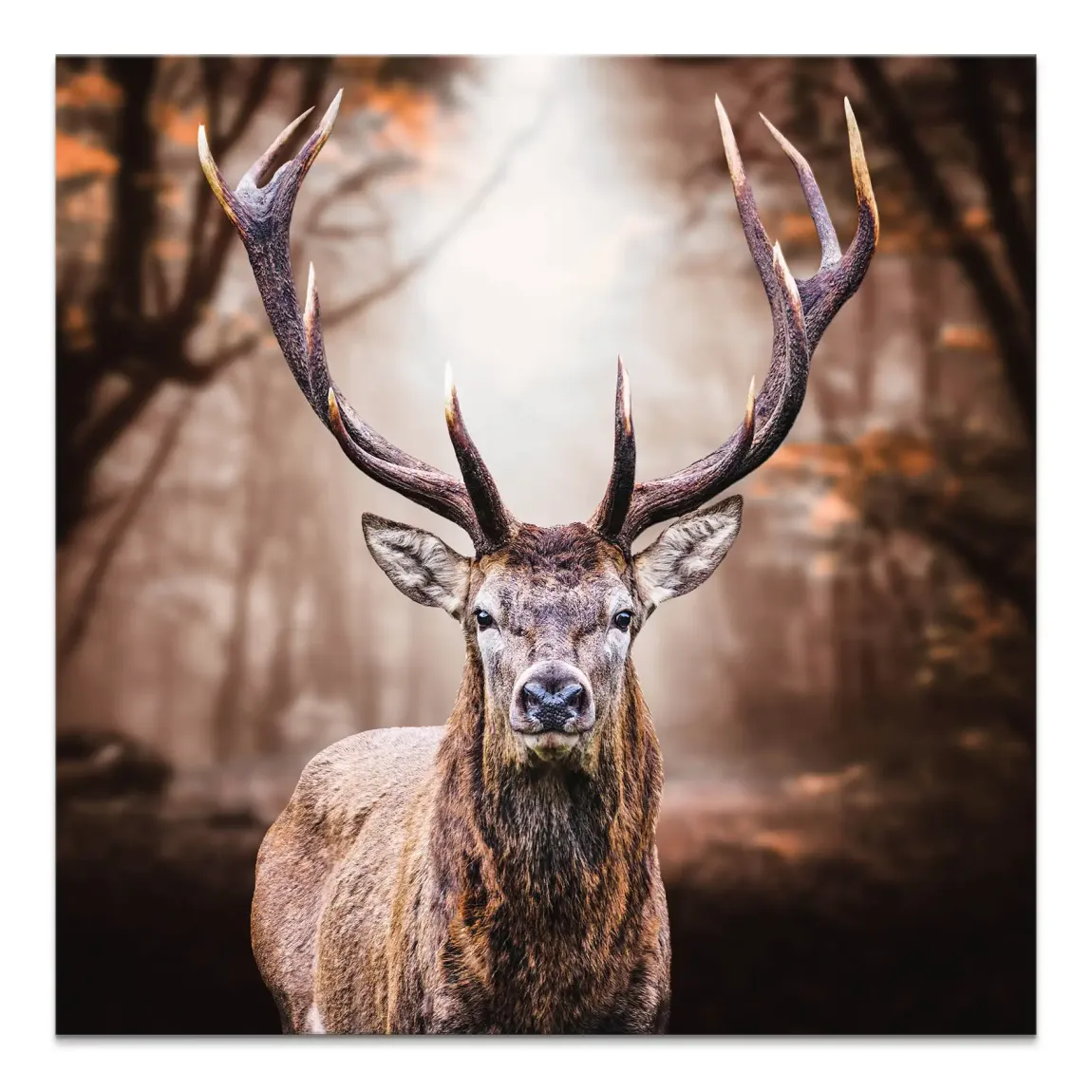 Hirsch Herbstkrone Leinwand Bild