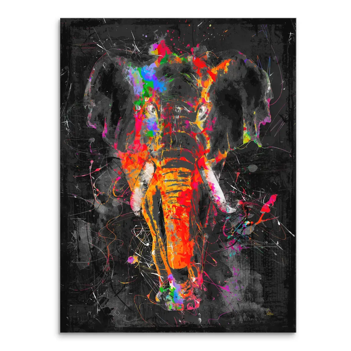 Bunter Elefant Leinwand Bild