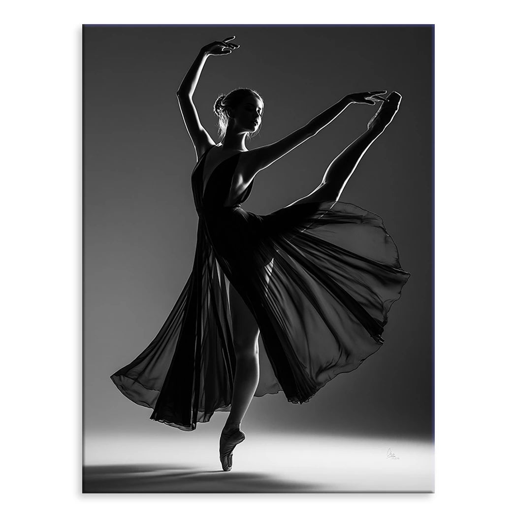 Ballerina Schattenpoesie Leinwand Bild