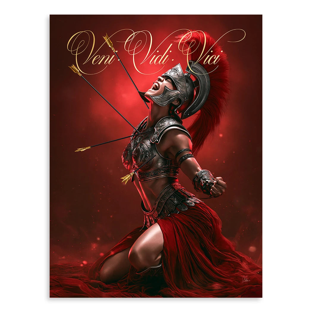 Veni Vidi Vici Gladiatorin Leinwand Bild